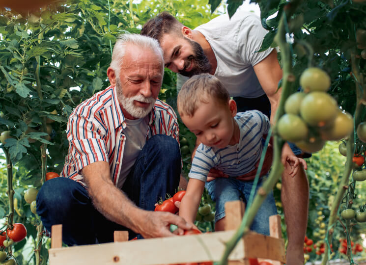 Multigenerational family picking vegetables from a garden