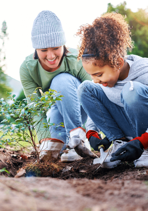 Woman and child kneeling planting tree together